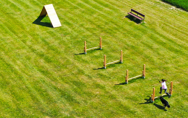 Agility Sets voor Honden: Ontdek de Beste Honden Hindernisbanen bij